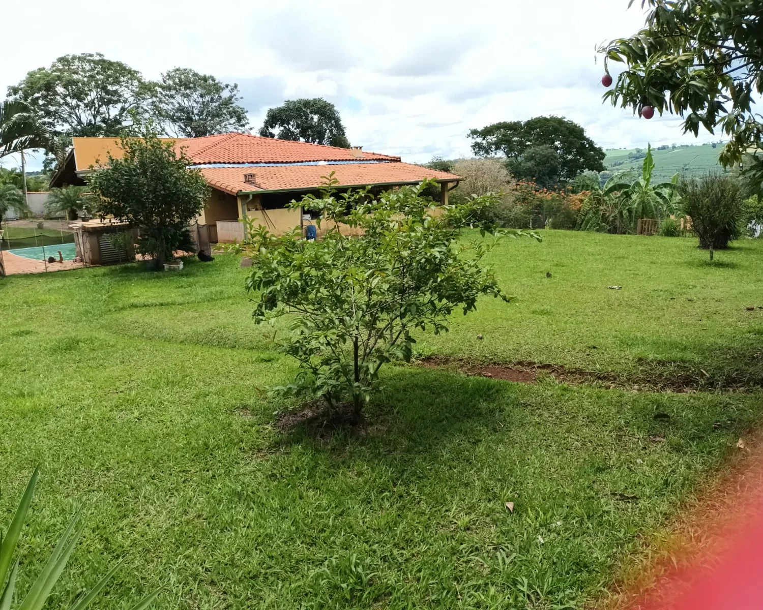 CHÁCARA PAIOLZINHO CLARAVAL MG WAGNER 077 (12)