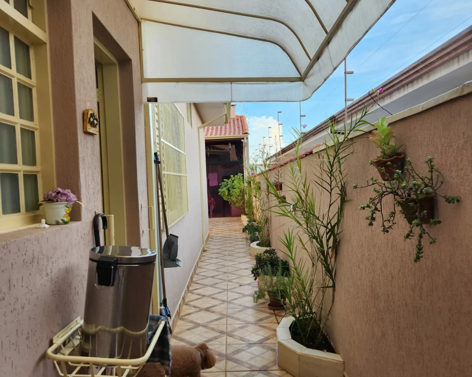 Jardim Maria Rosa Franca SP valdete (11)