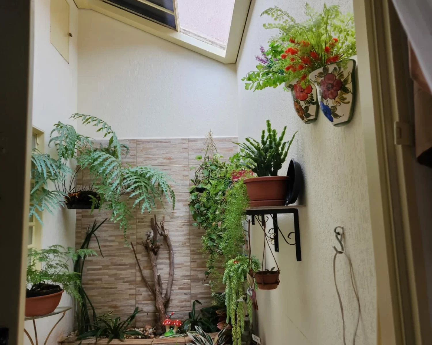 Jardim Maria Rosa Franca SP valdete (2)