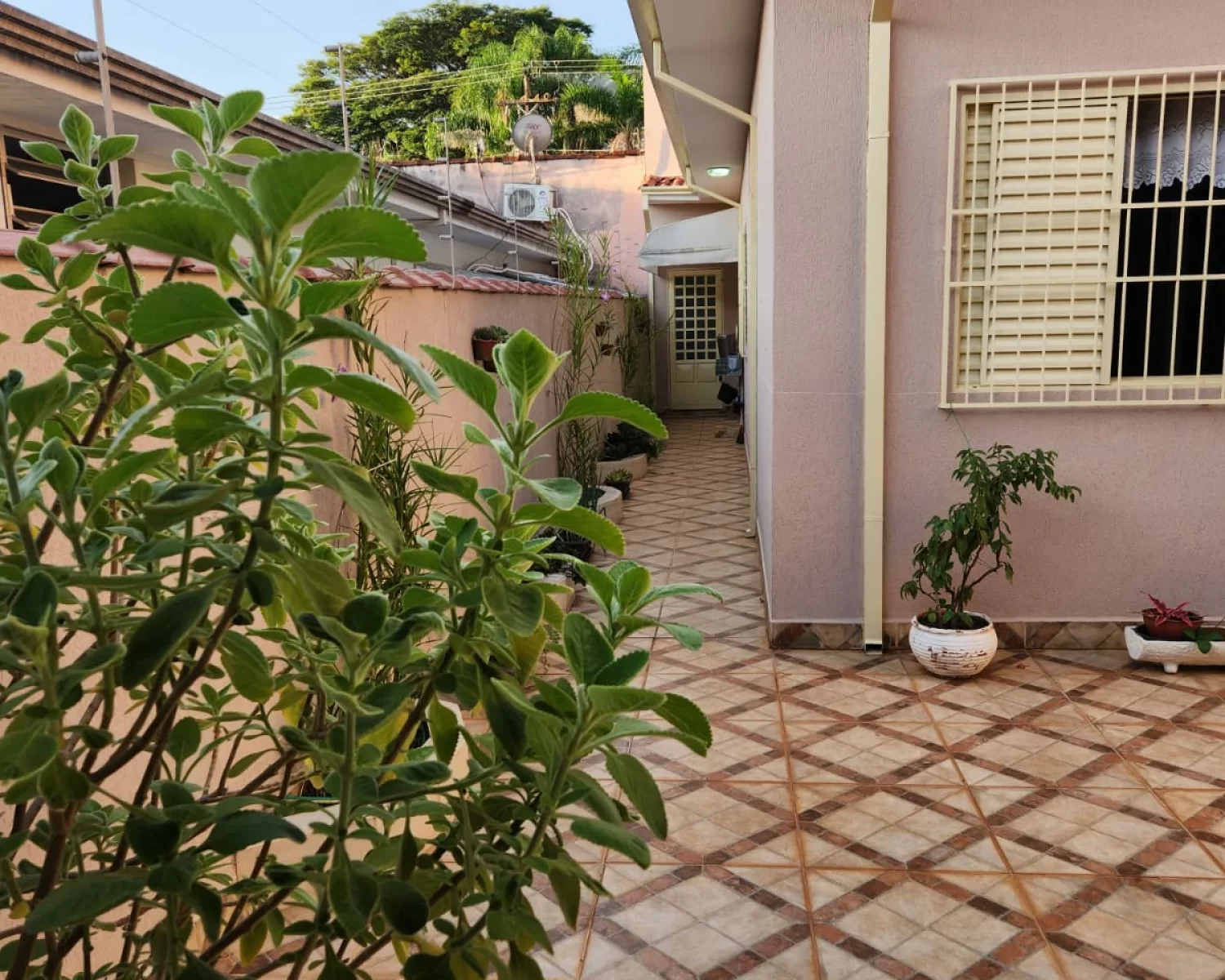 Jardim Maria Rosa Franca SP valdete (20)