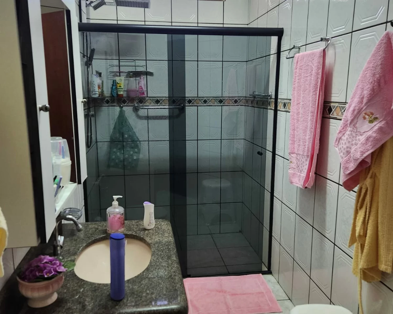 Jardim Maria Rosa Franca SP valdete (21)