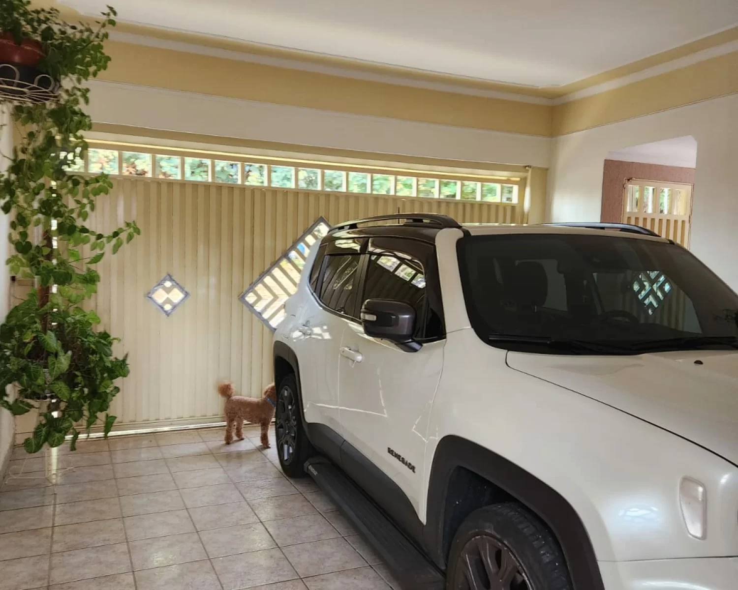 Jardim Maria Rosa Franca SP valdete (22)