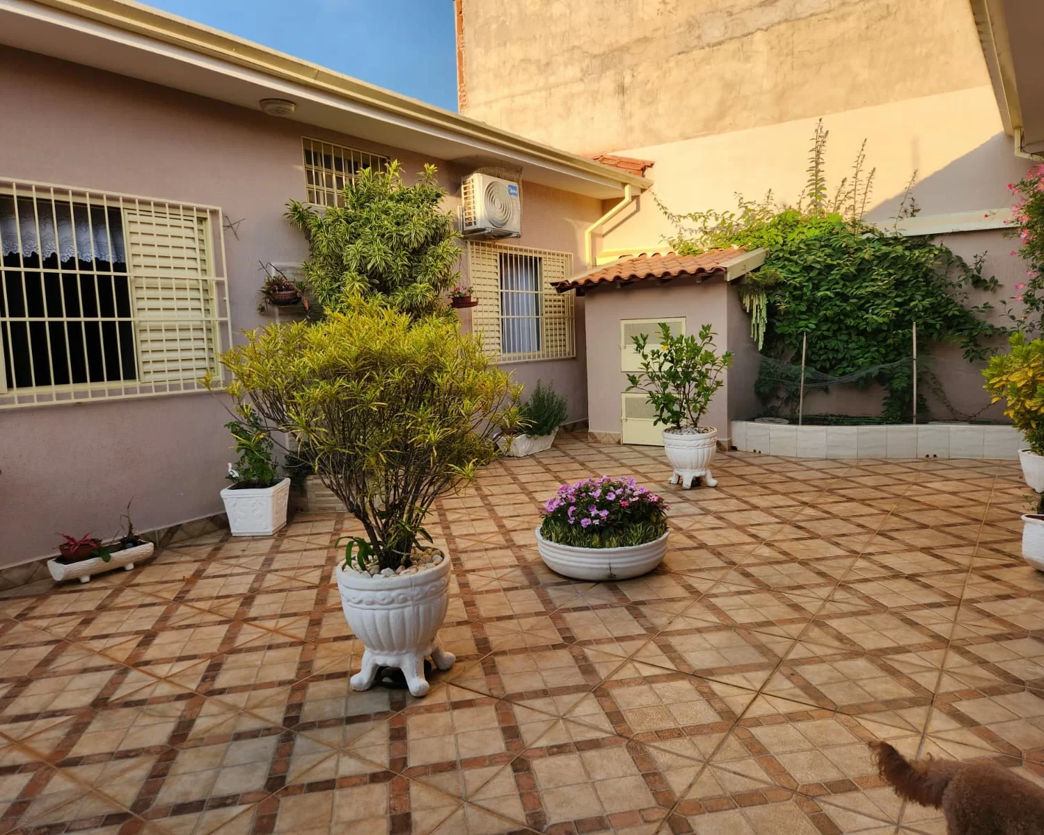 Jardim Maria Rosa Franca SP valdete (6)