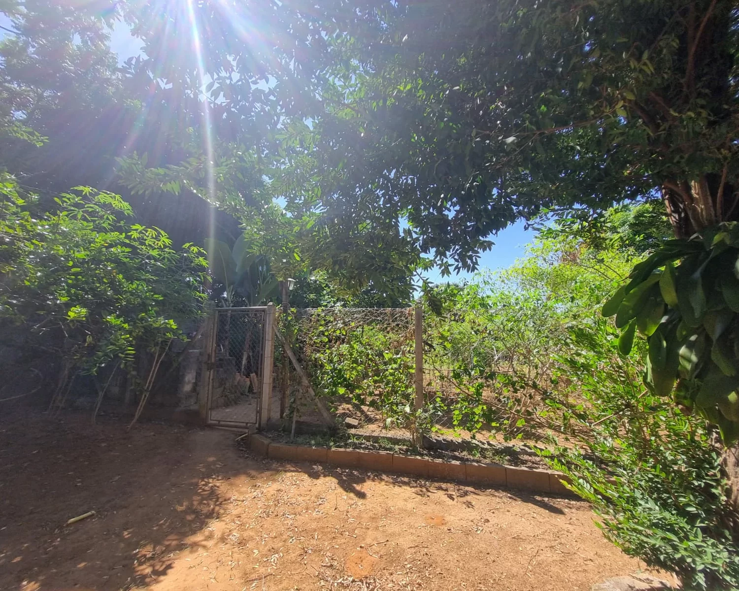 Recreio Campo Belo - chacara 1 (10)