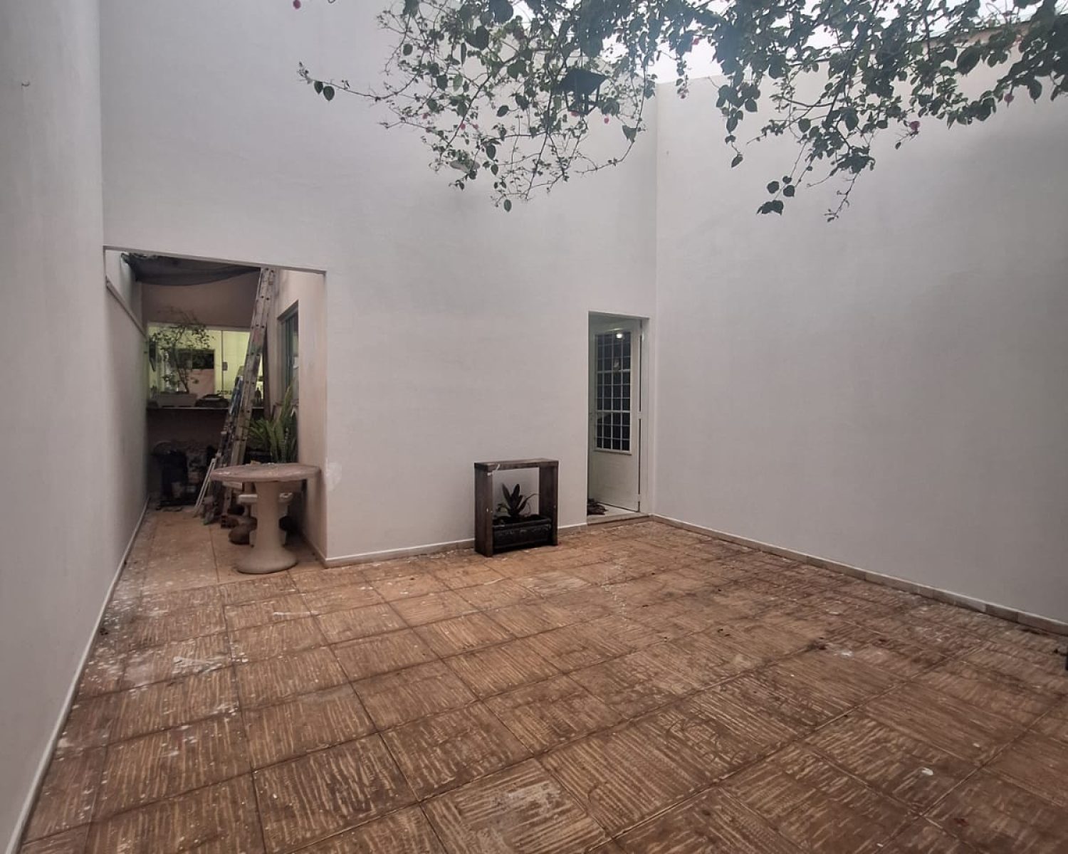 WhatsApp Image 2026-02-10 at 19.59.52 (5)