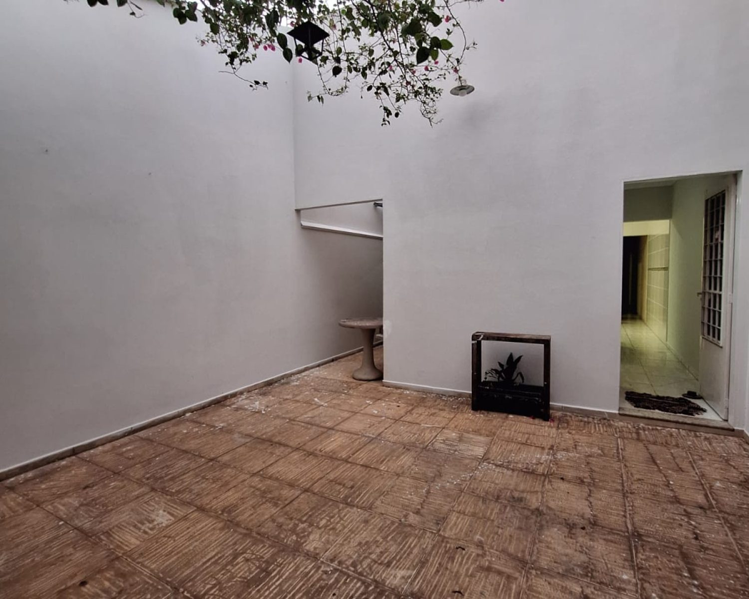 WhatsApp Image 2026-02-10 at 19.59.52