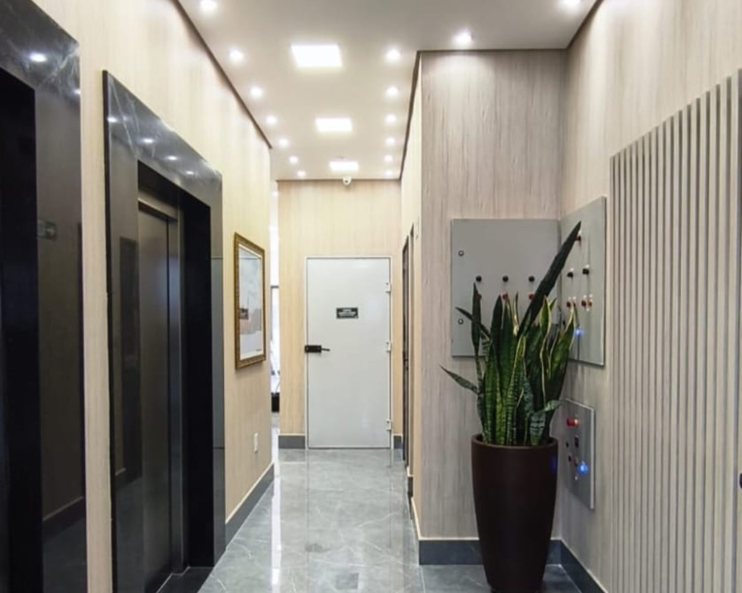 WhatsApp Image 2026-02-26 at 12.31.50