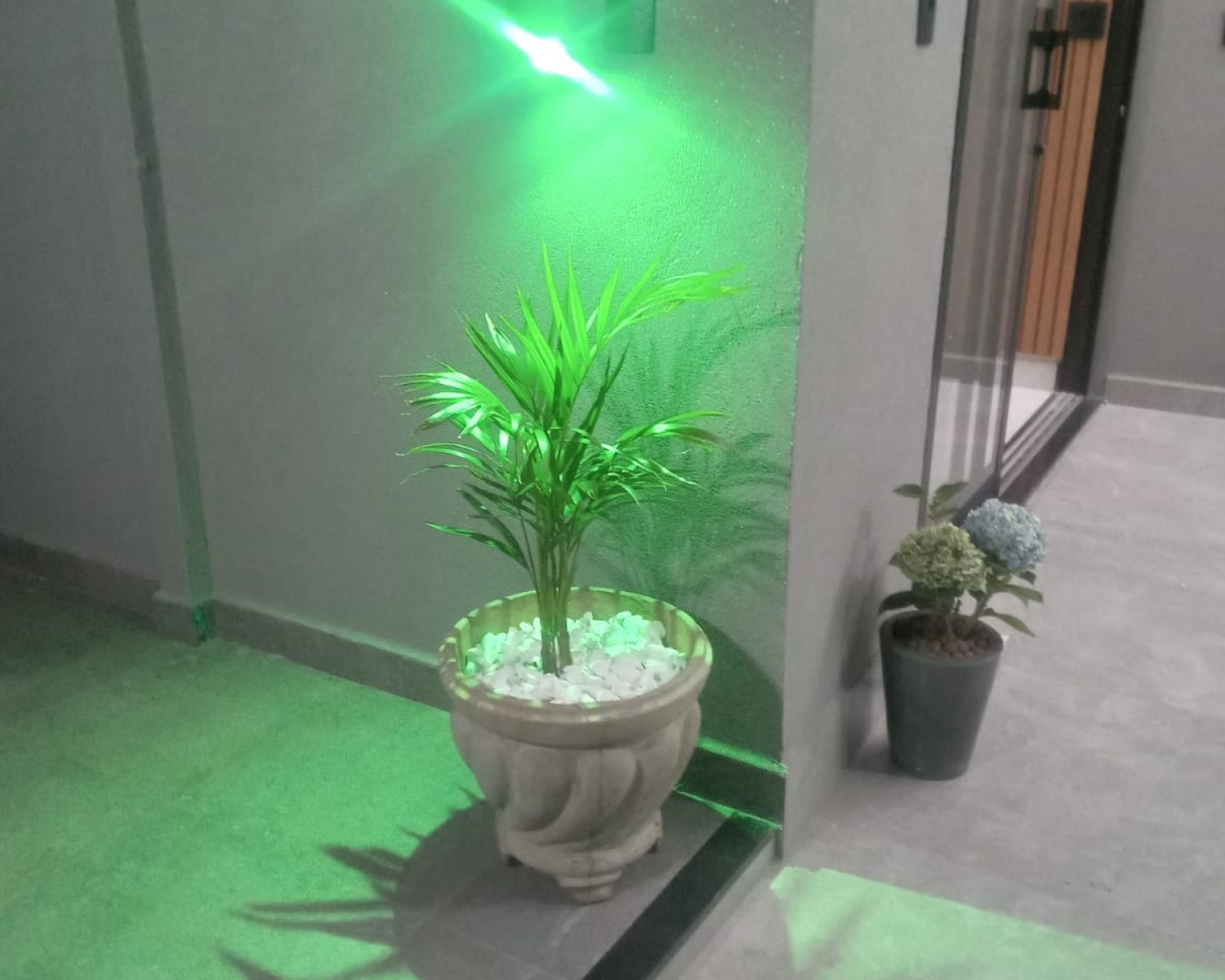 WhatsApp Image 2026-03-02 at 10.40.15 (3)