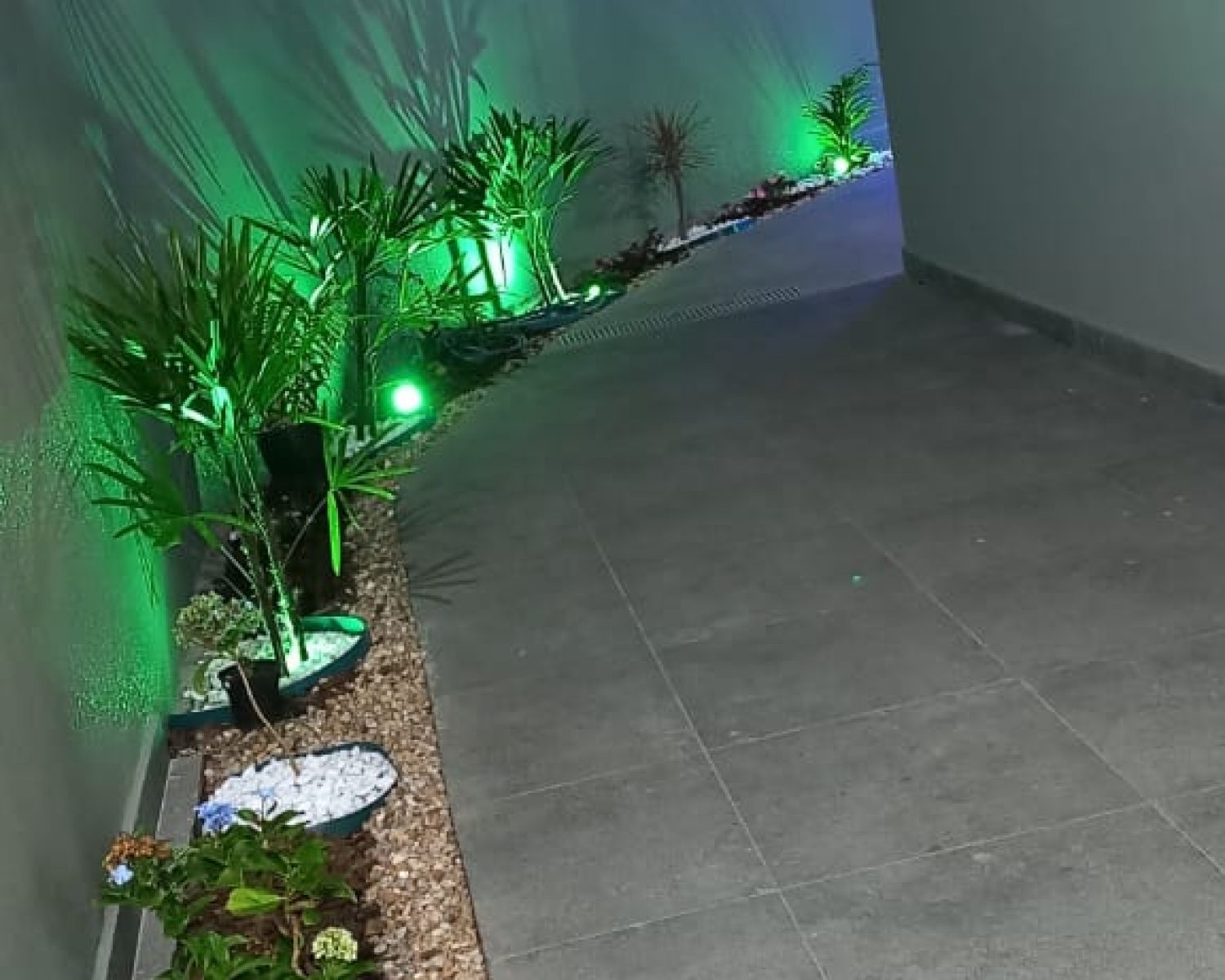 WhatsApp Image 2026-03-02 at 10.40.15