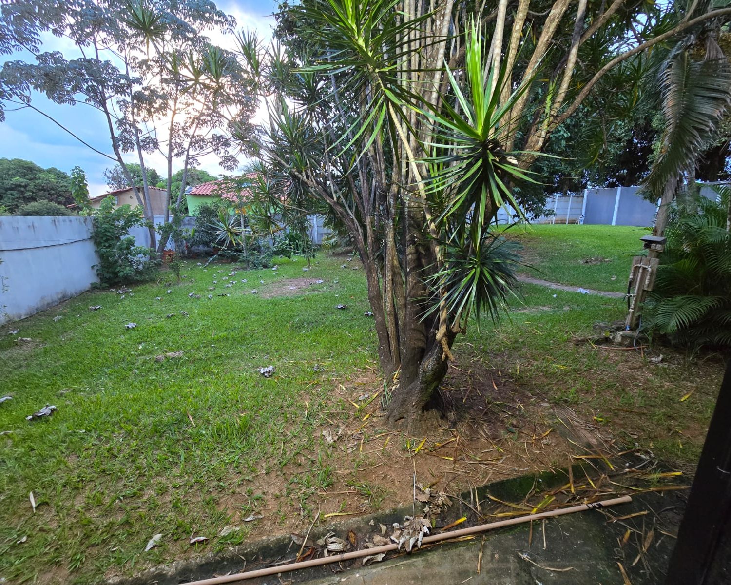 WhatsApp Image 2026-03-10 at 21.49.38 (1)