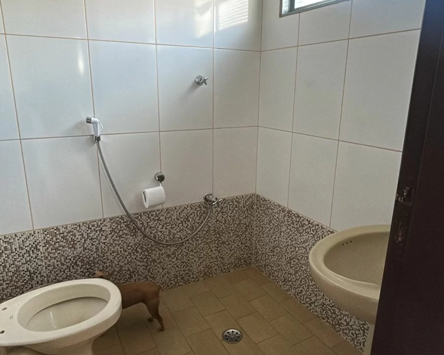 casa a venda em franca cantro - eliel corretor d2l imoveis (2)