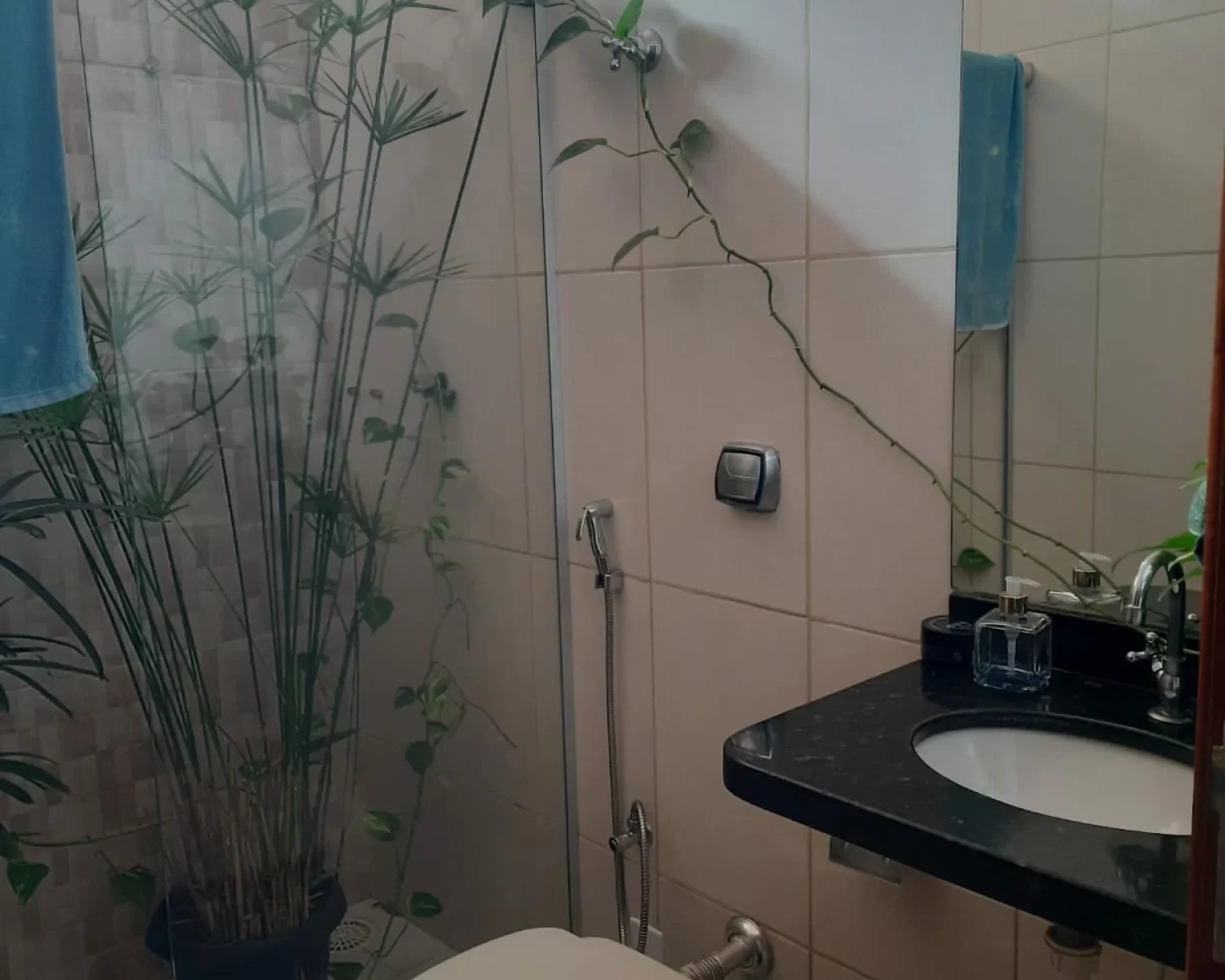 casa ana dorteia wagner (11)