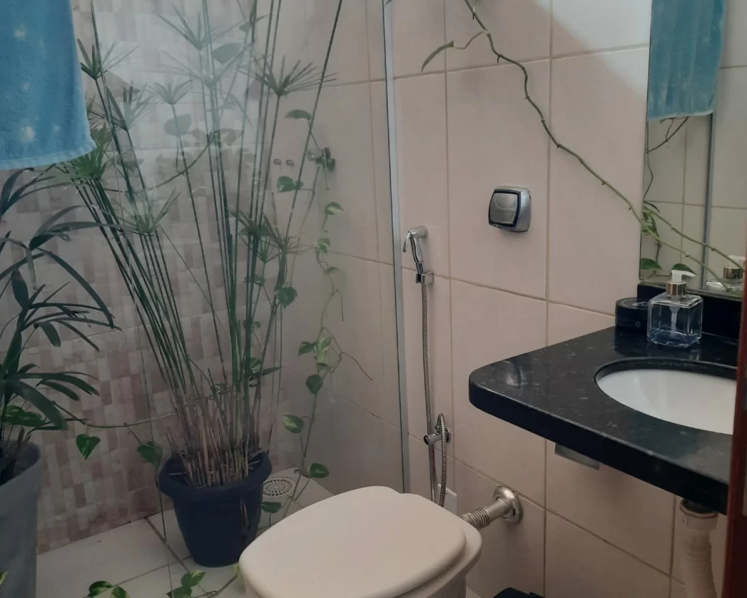 casa ana dorteia wagner (5)