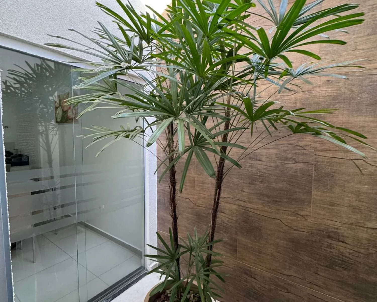 casa palermo city (2)