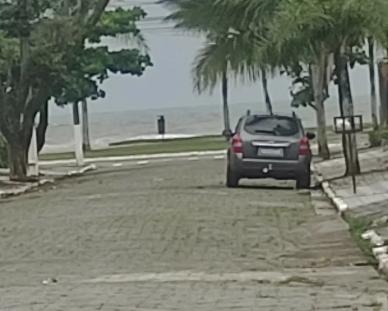 casa pria grande 7 (3)