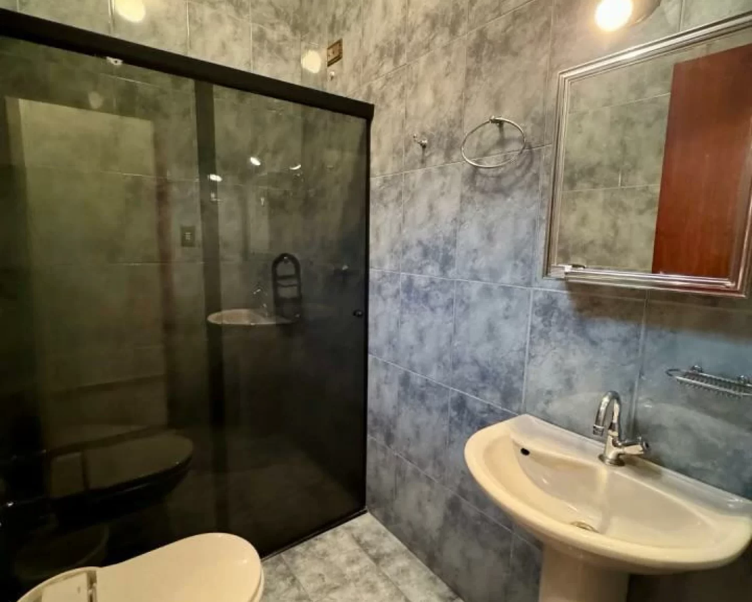 casa vila nicacio franca sp d2l (4)