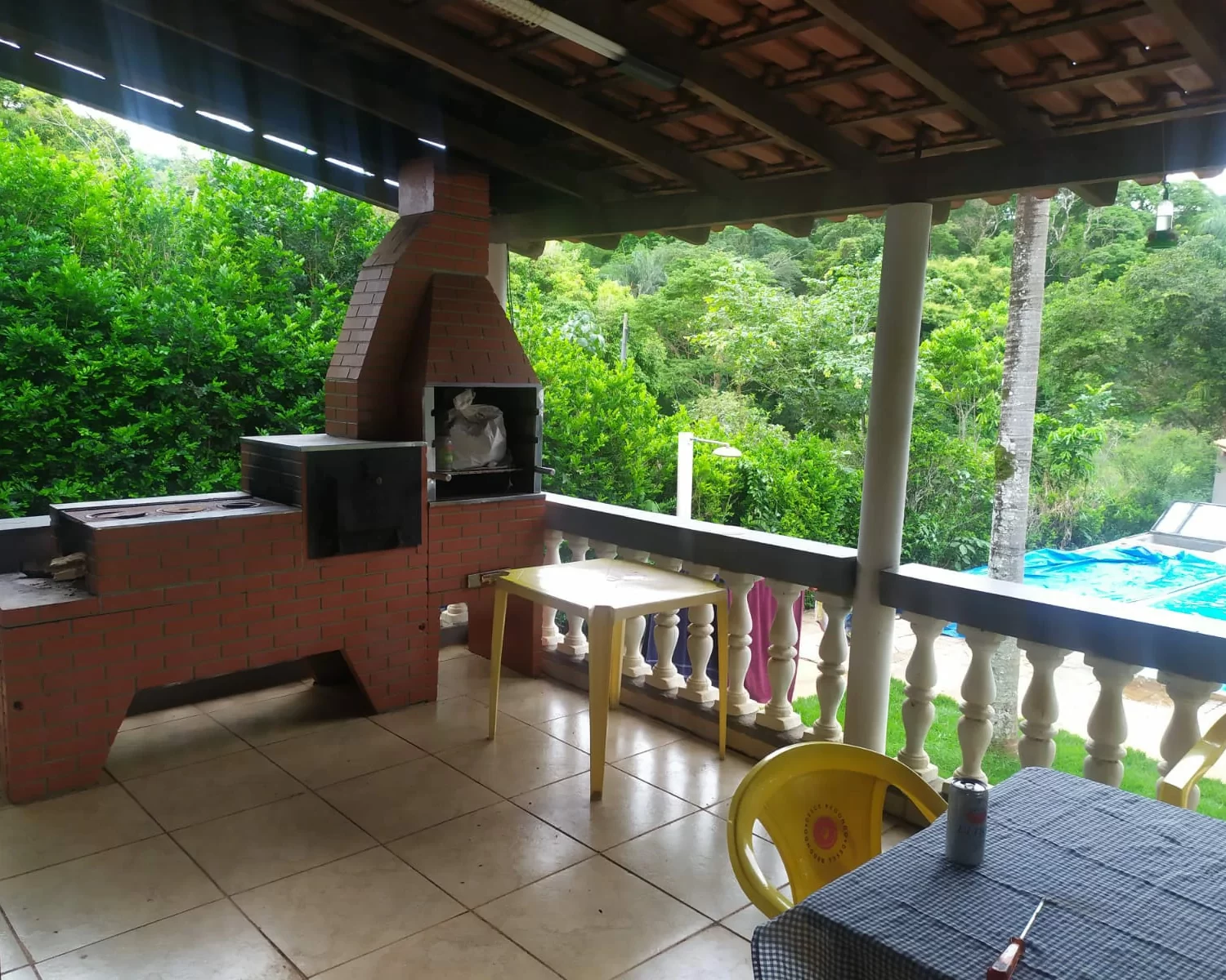 cassia mg wagner 7 (1)