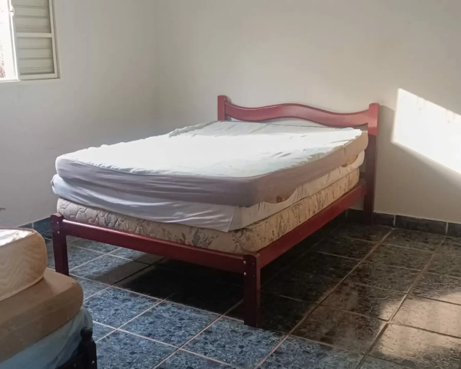 cassia mg wagner 7 (14)