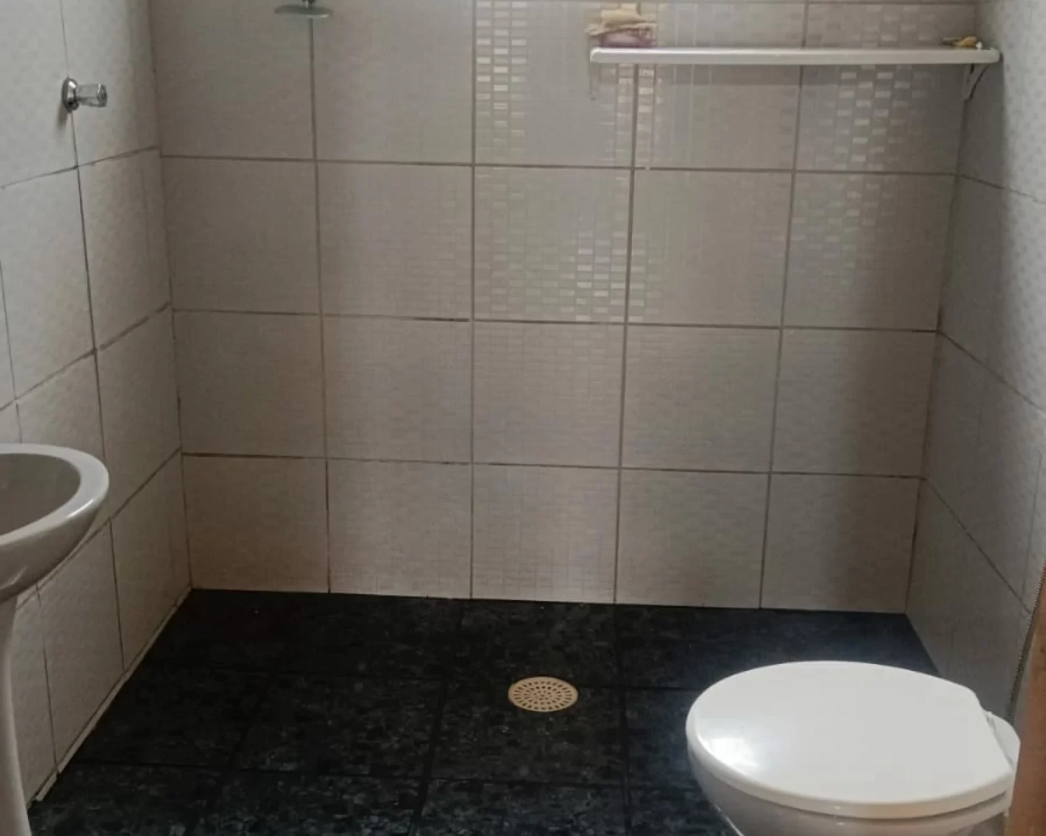 cassia mg wagner 7 (18)