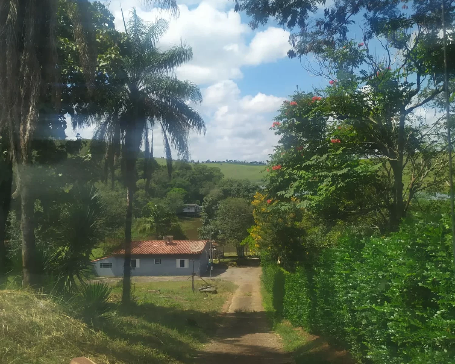 cassia mg wagner 7 (19)