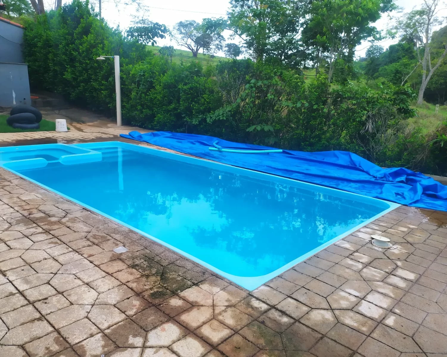 cassia mg wagner 7 (2)