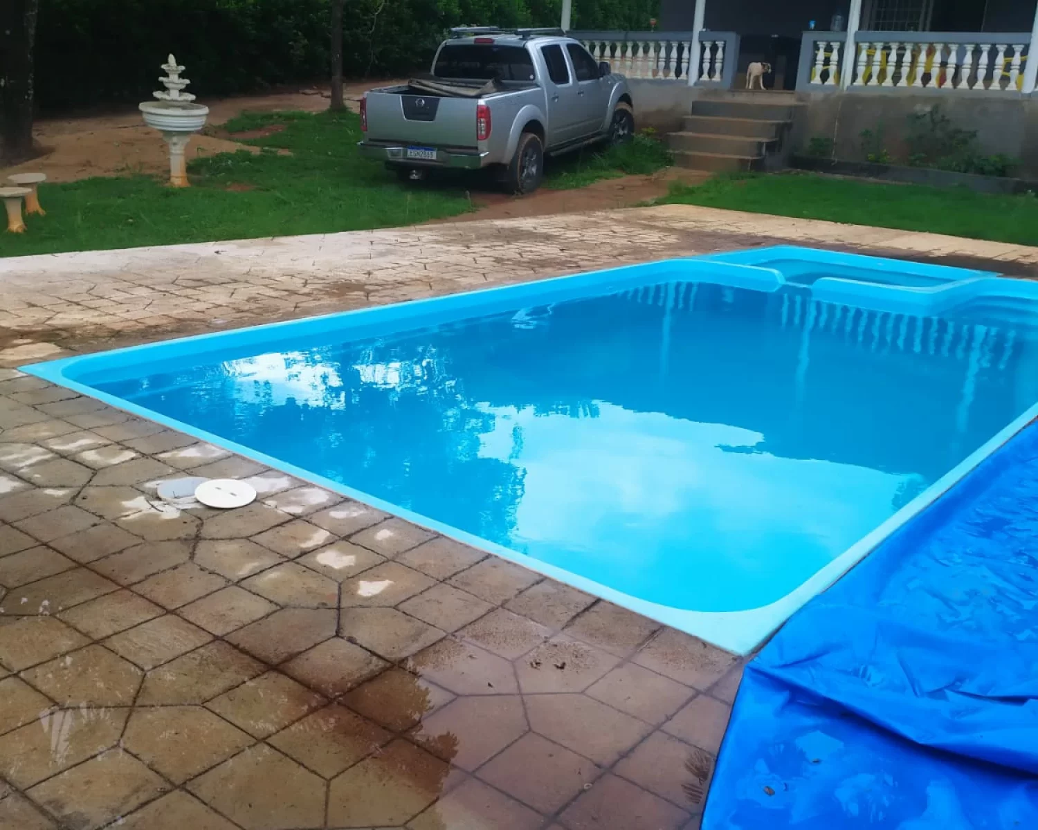 cassia mg wagner 7 (3)