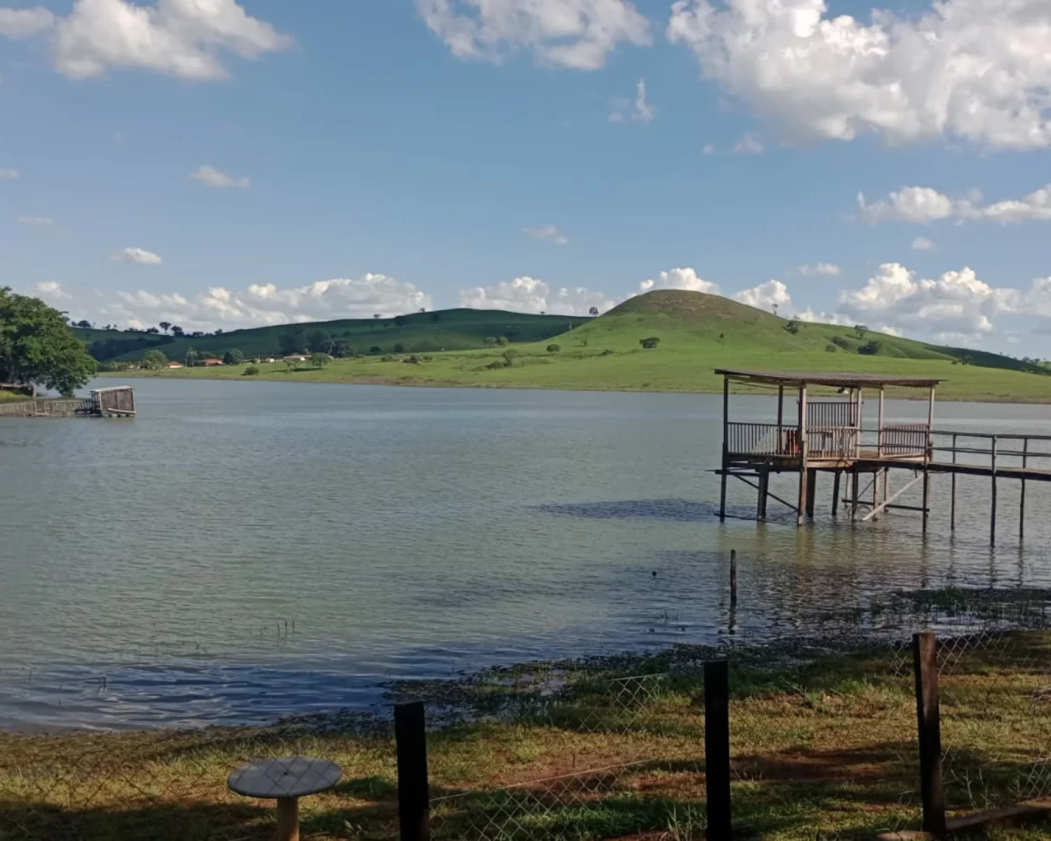 cassia mg wagner 7 (5)