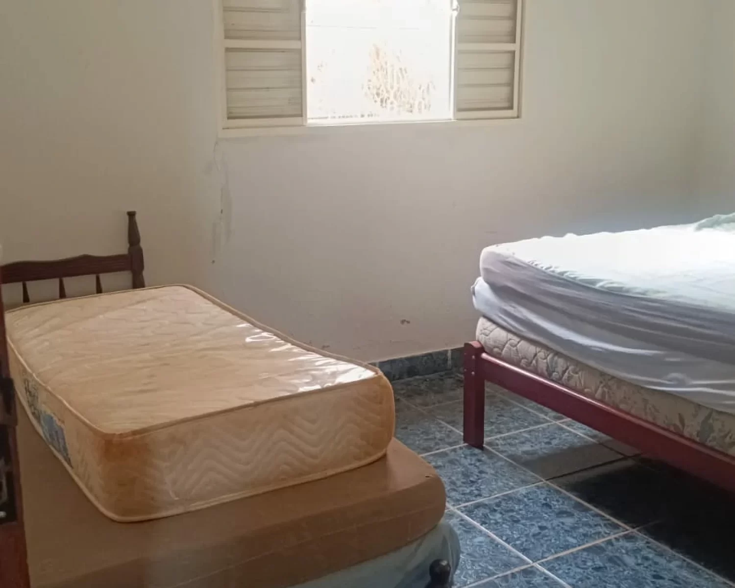 cassia mg wagner 7 (7)