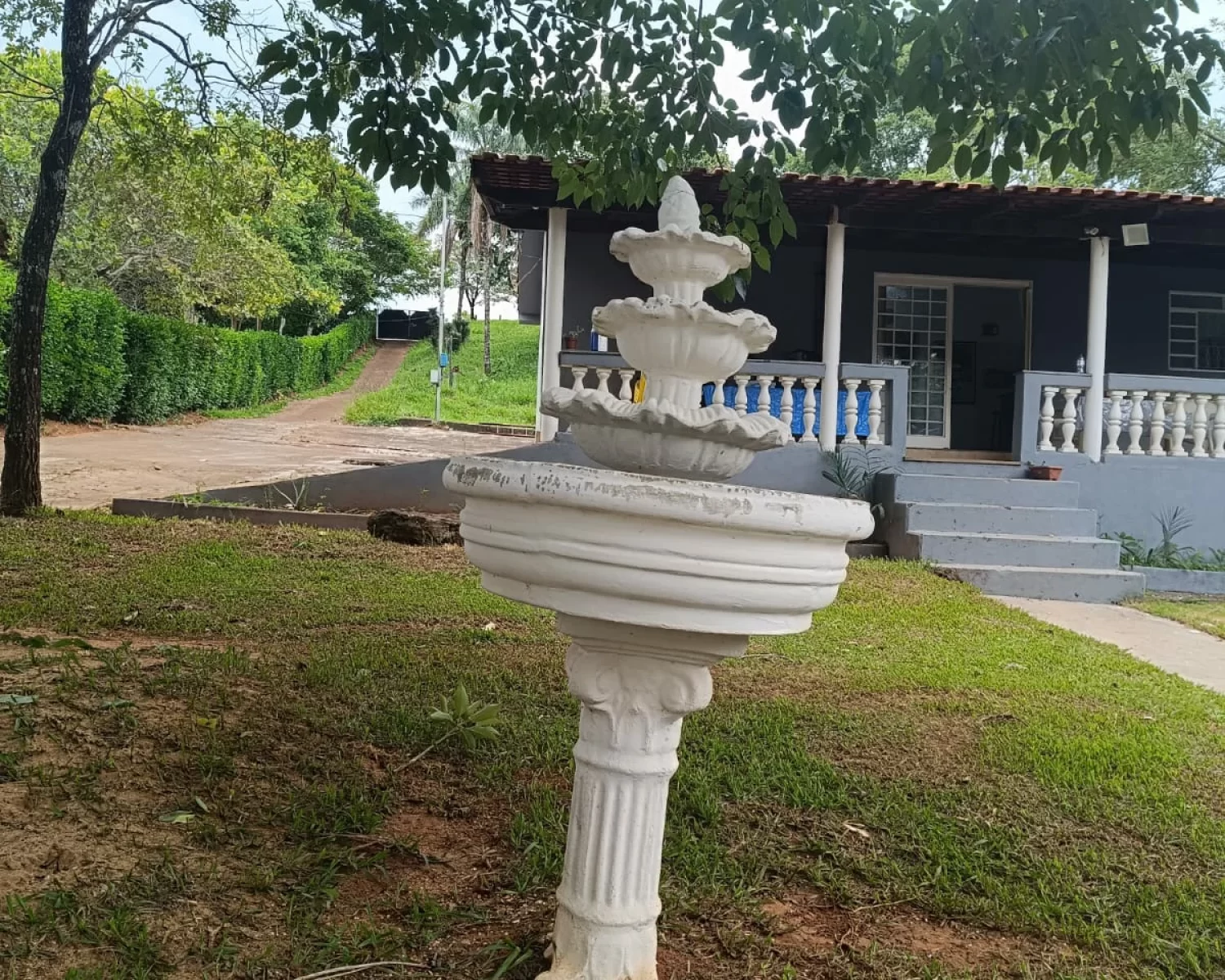 cassia mg wagner 7 (8)