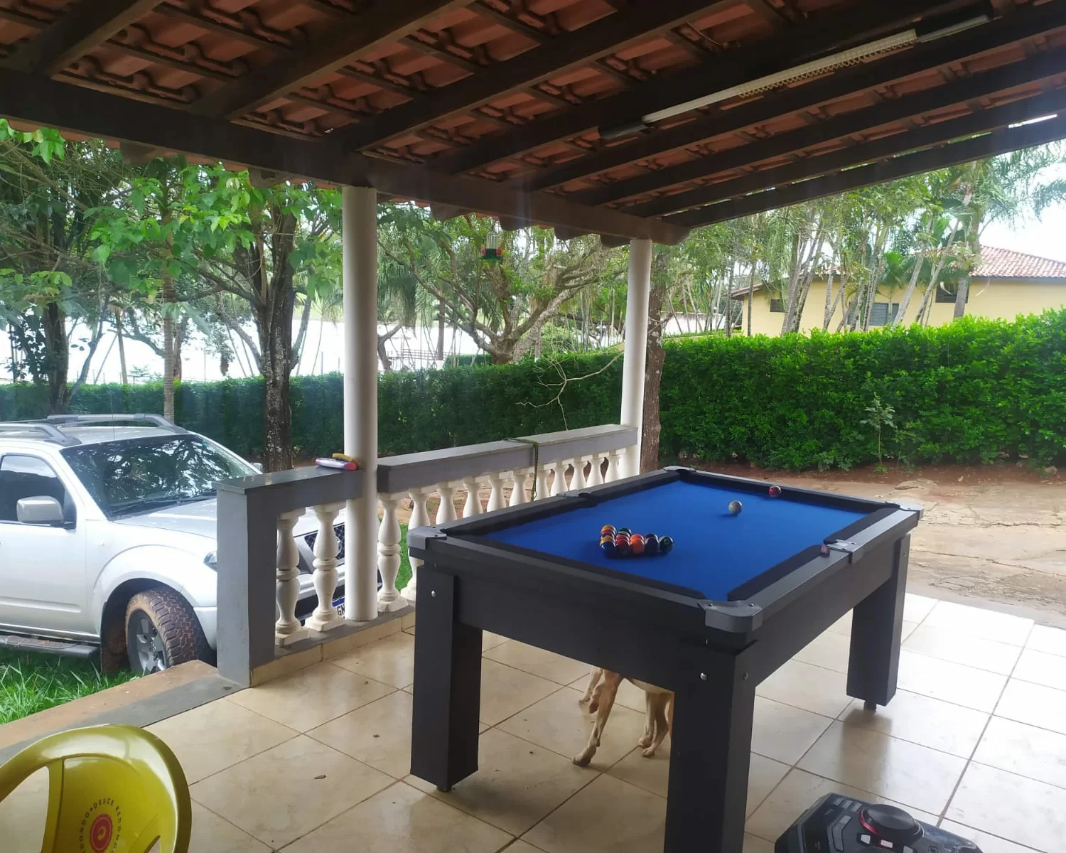 cassia mg wagner 7 (9)