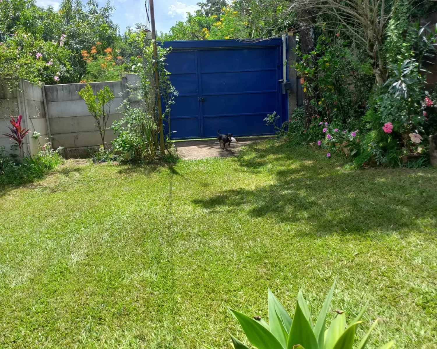 chácara PAIOLZINHO franca sp - valdete (16)