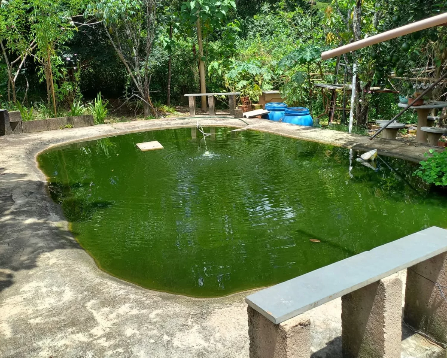 chácara PAIOLZINHO franca sp - valdete (8)