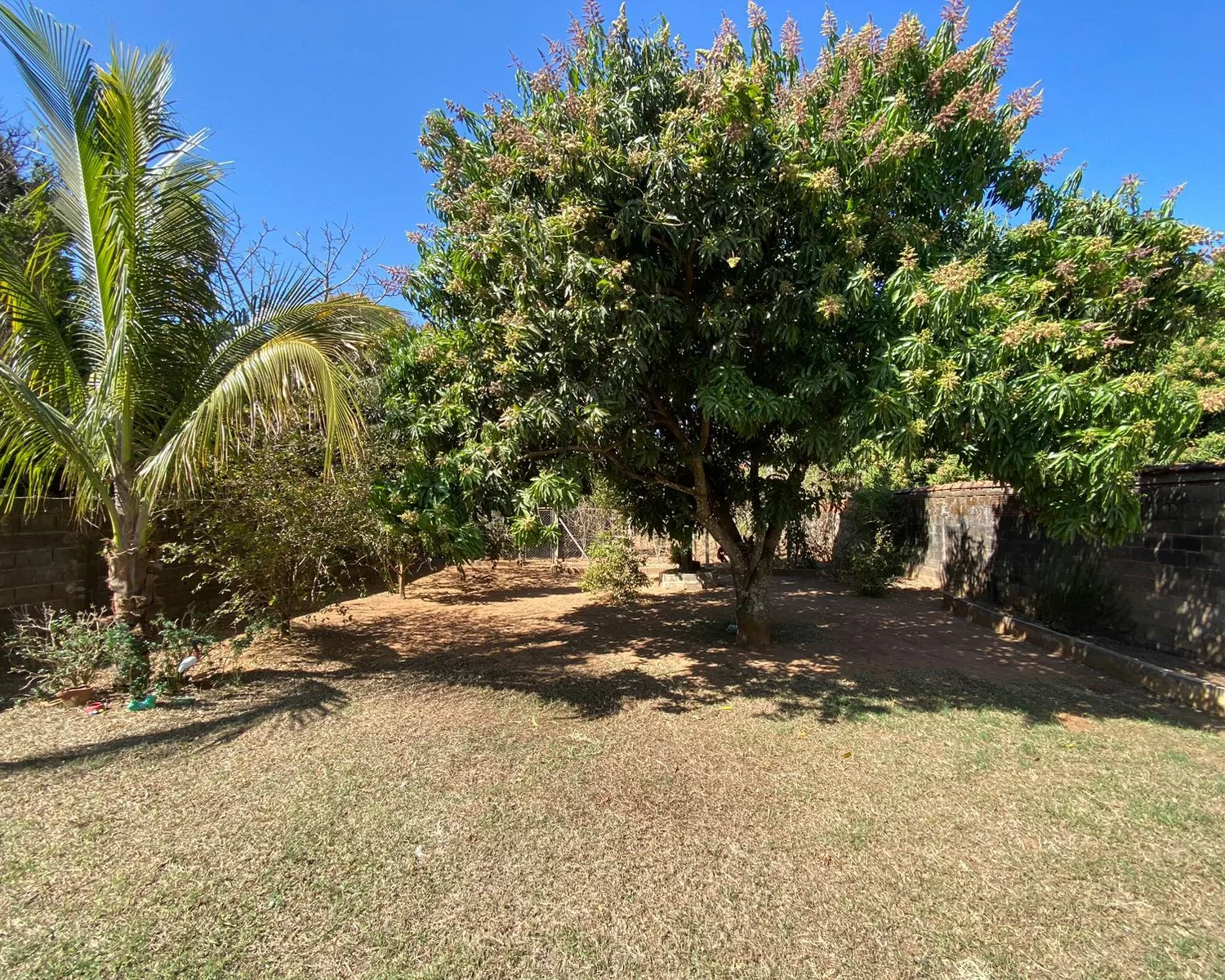 chacara bairro campo belo em franca sp - wagner carneiro - d2l imoveis (21)