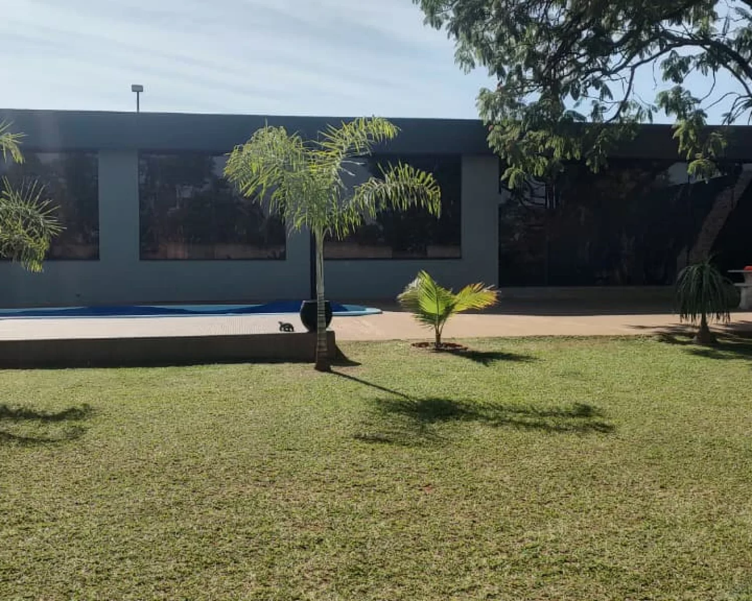 charara sentido claraval D2L (16)