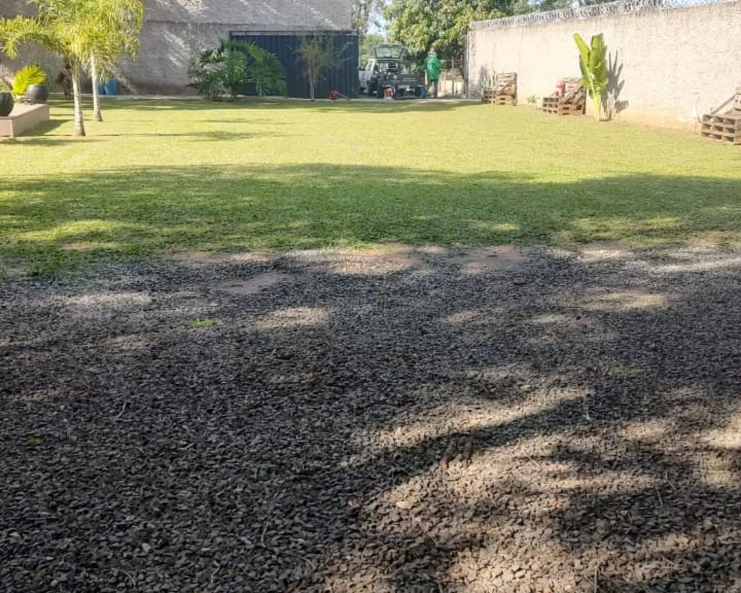 charara sentido claraval D2L (18)