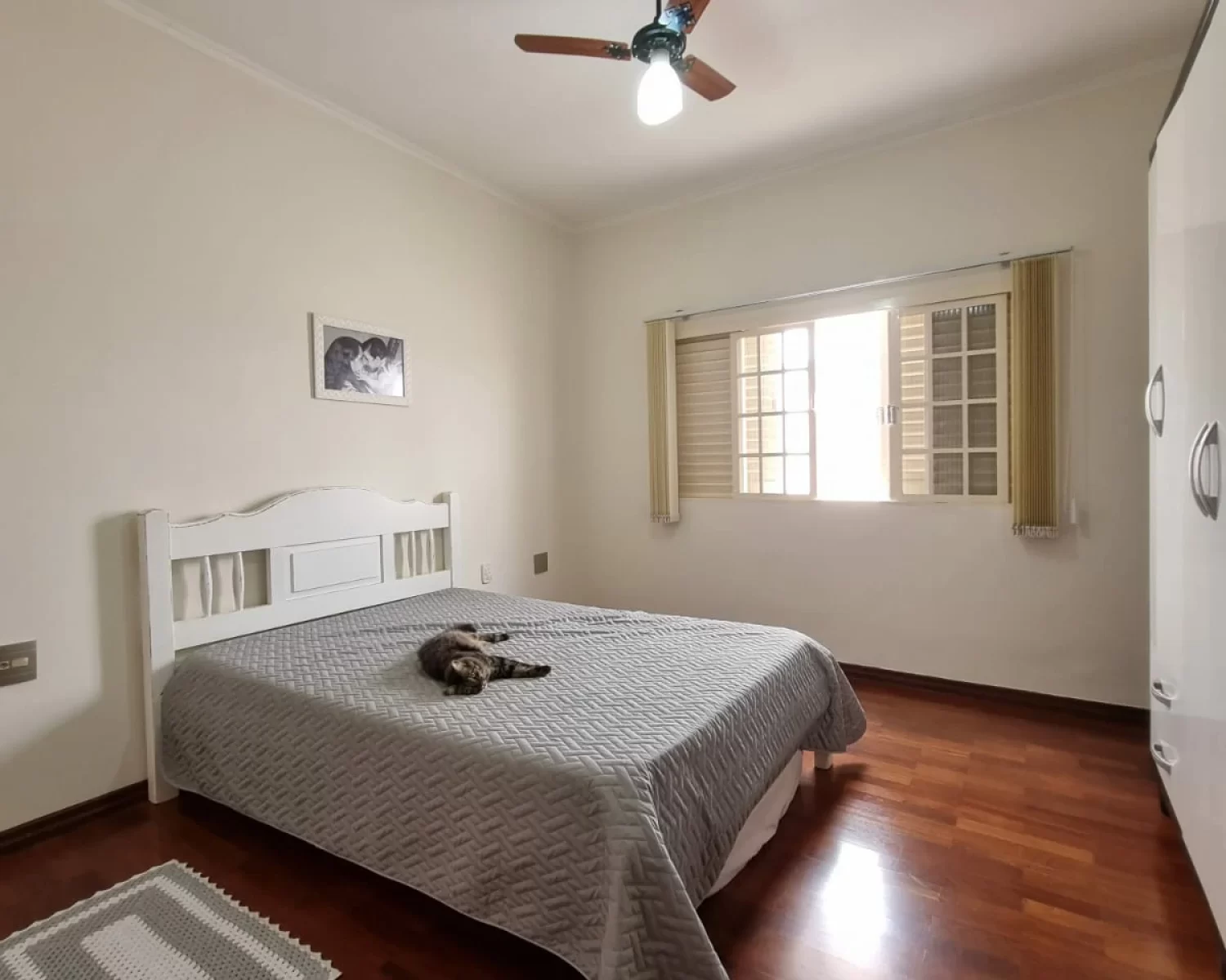 pq universitario 7 (18)