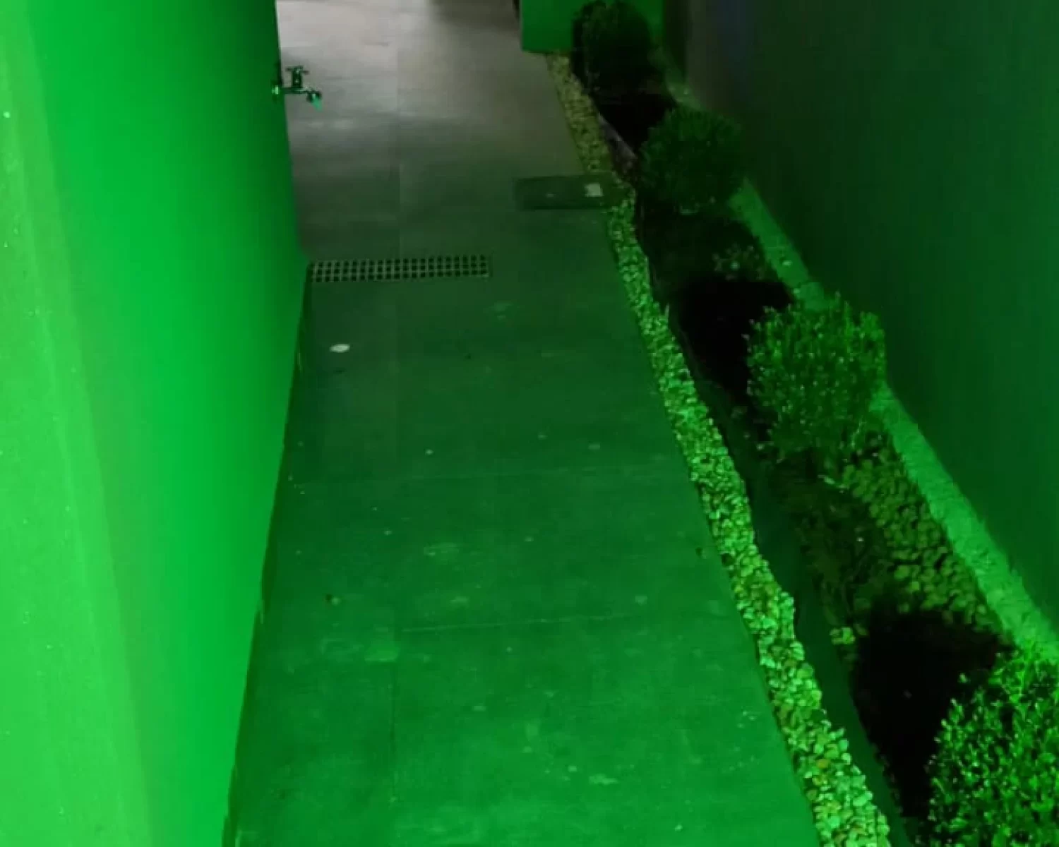 residencial são geronimo casa franca d2l (8)