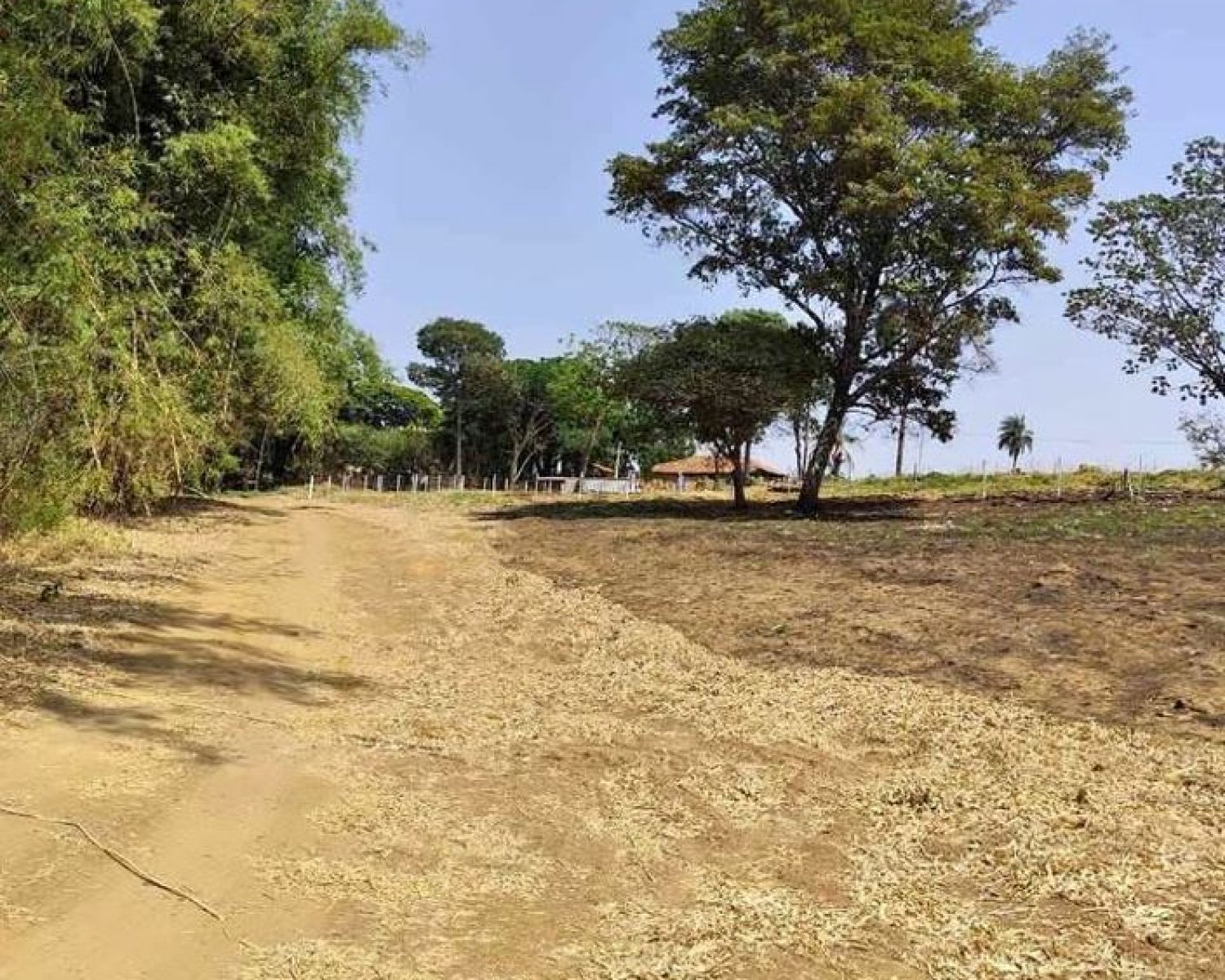 terreno pedregulho 7 (1)