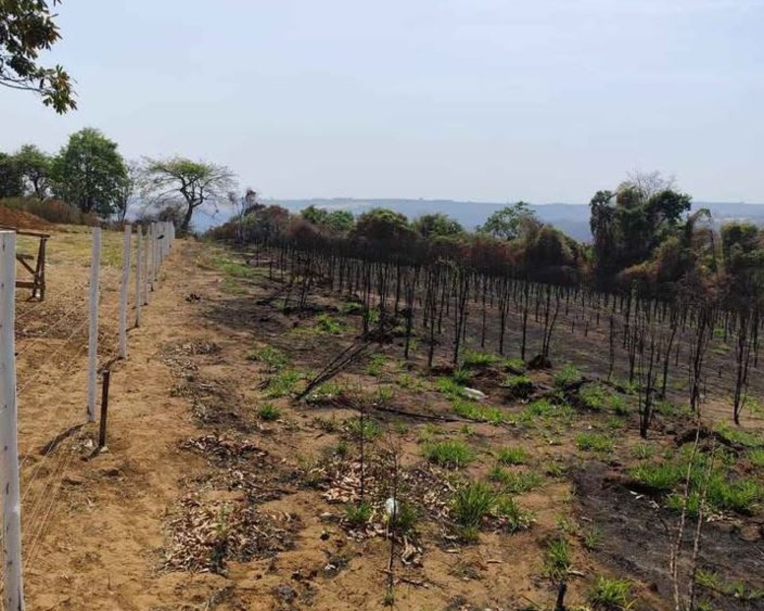 terreno pedregulho 7 (3)