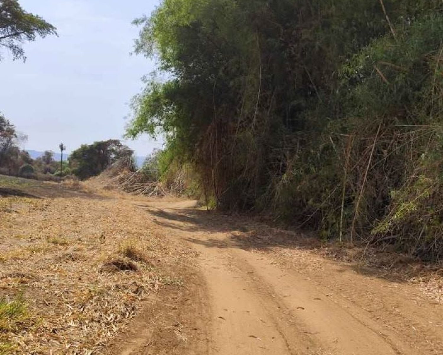 terreno pedregulho 7 (4)