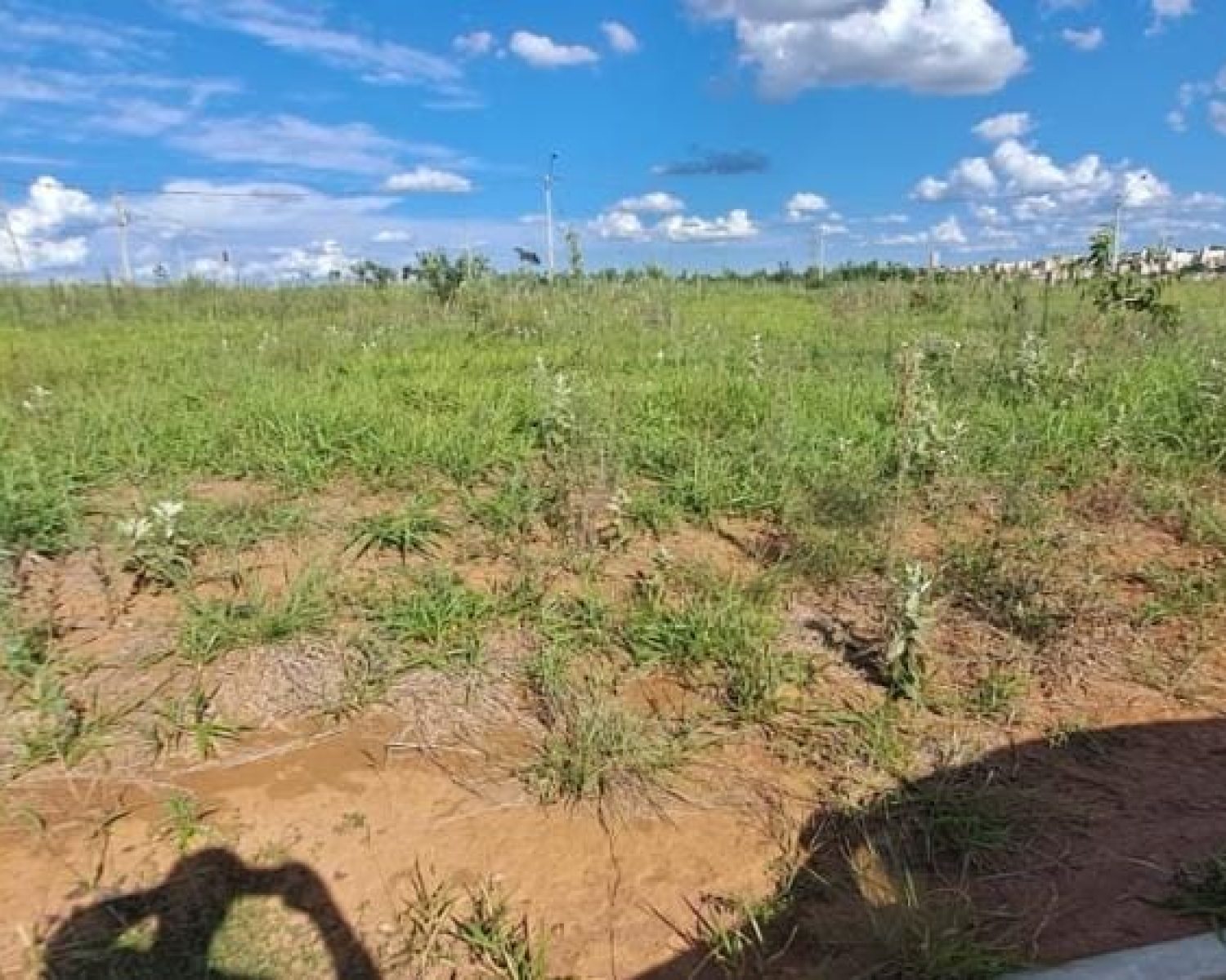 terreno quinta 7 (1)