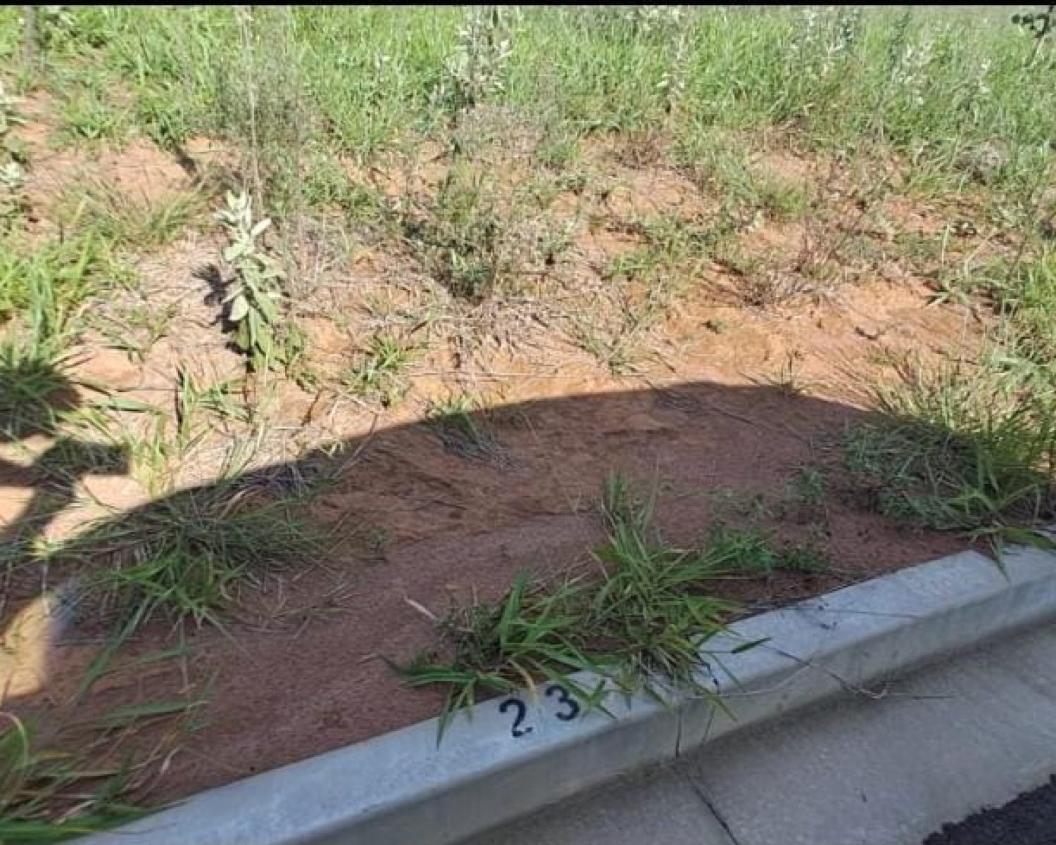 terreno quinta 7 (2)