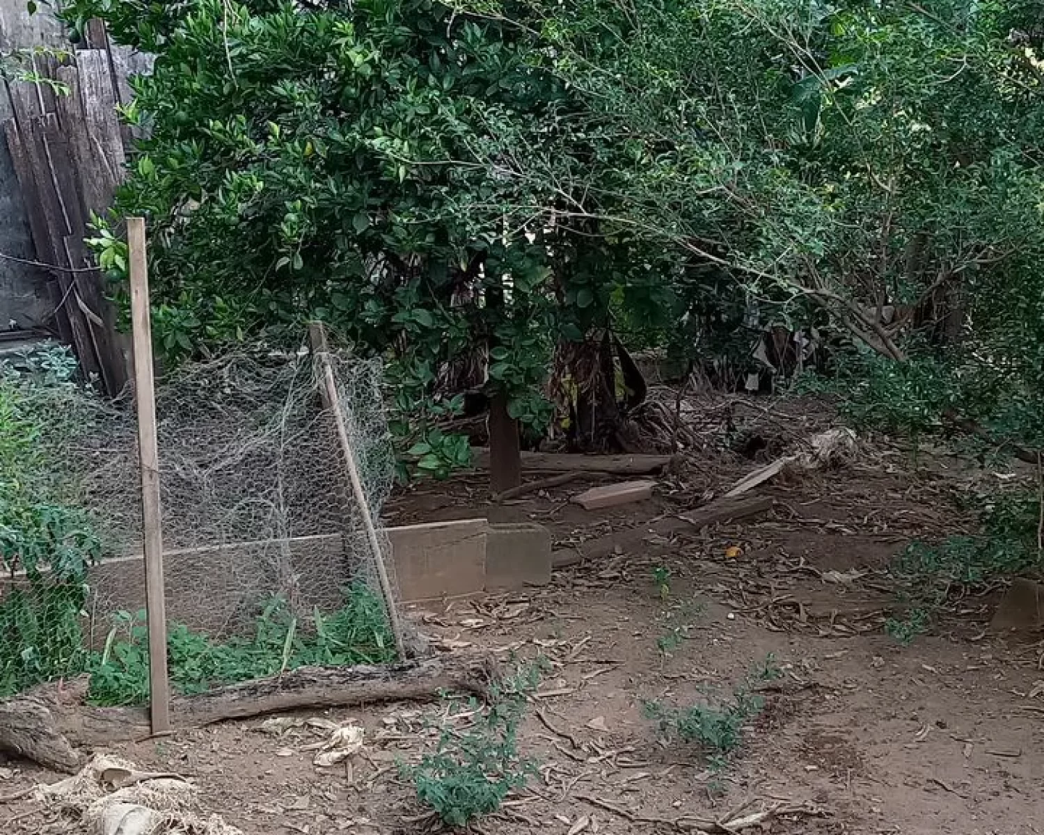 terreno vila resende vilson 07 franca (5)