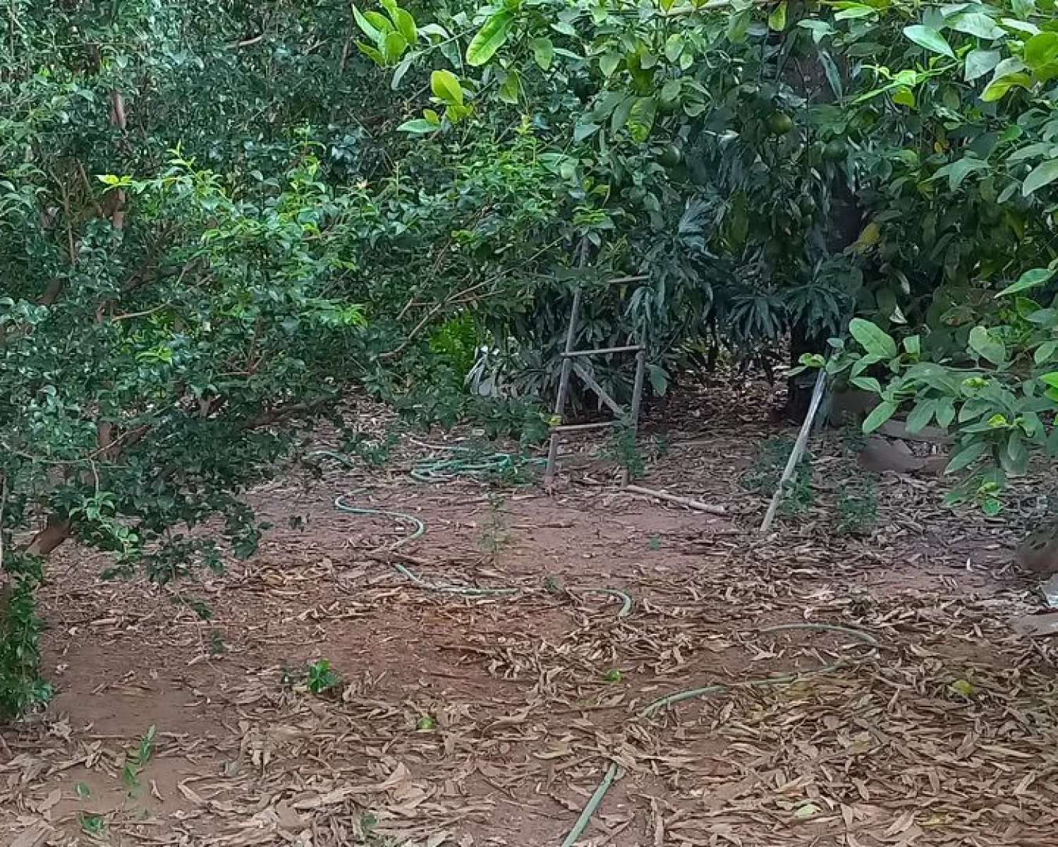 terreno vila resende vilson 07 franca (6)