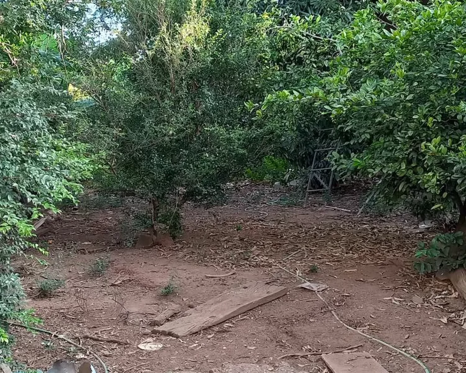 terreno vila resende vilson 07 franca (7)